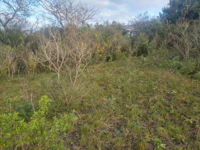 Vacant Land / Plot For Sale in Ngwelezana, Empangeni