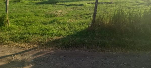House For Sale in Ngwelezana, Empangeni