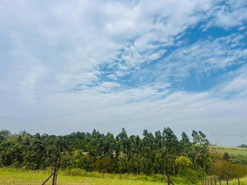 print